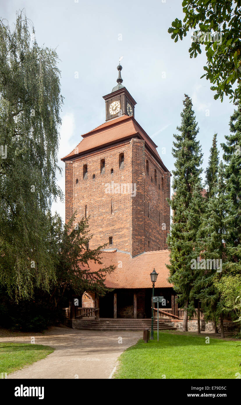 Steintor, defence tower of medieval fortification, museum, Bernau, Brandenburg, Germany Stock Photo