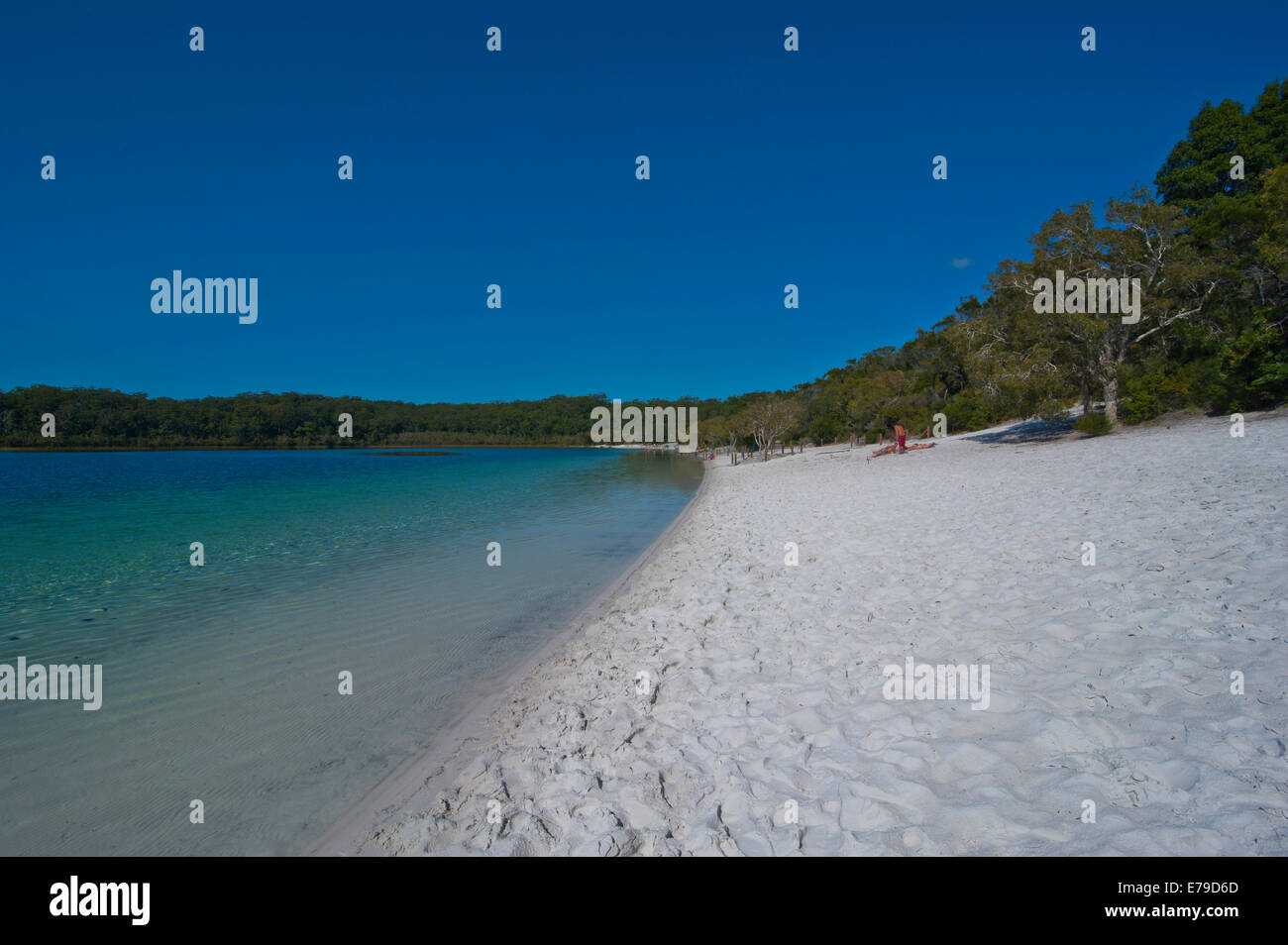 lake mckenzie fraser island queensland australia