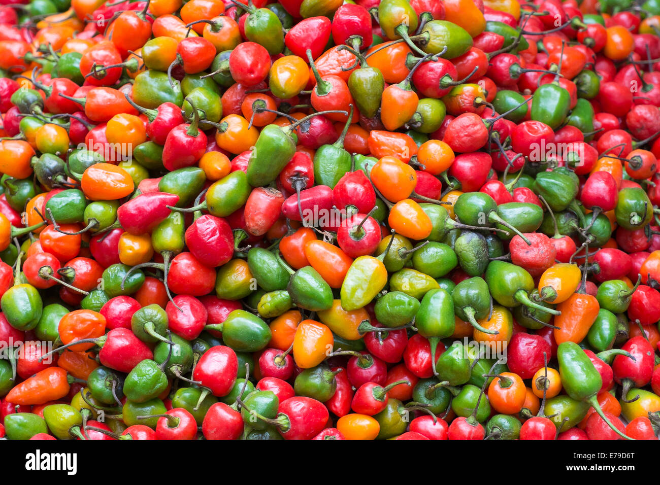 Red, yellow and green chili peppers Stock Photo - Alamy
