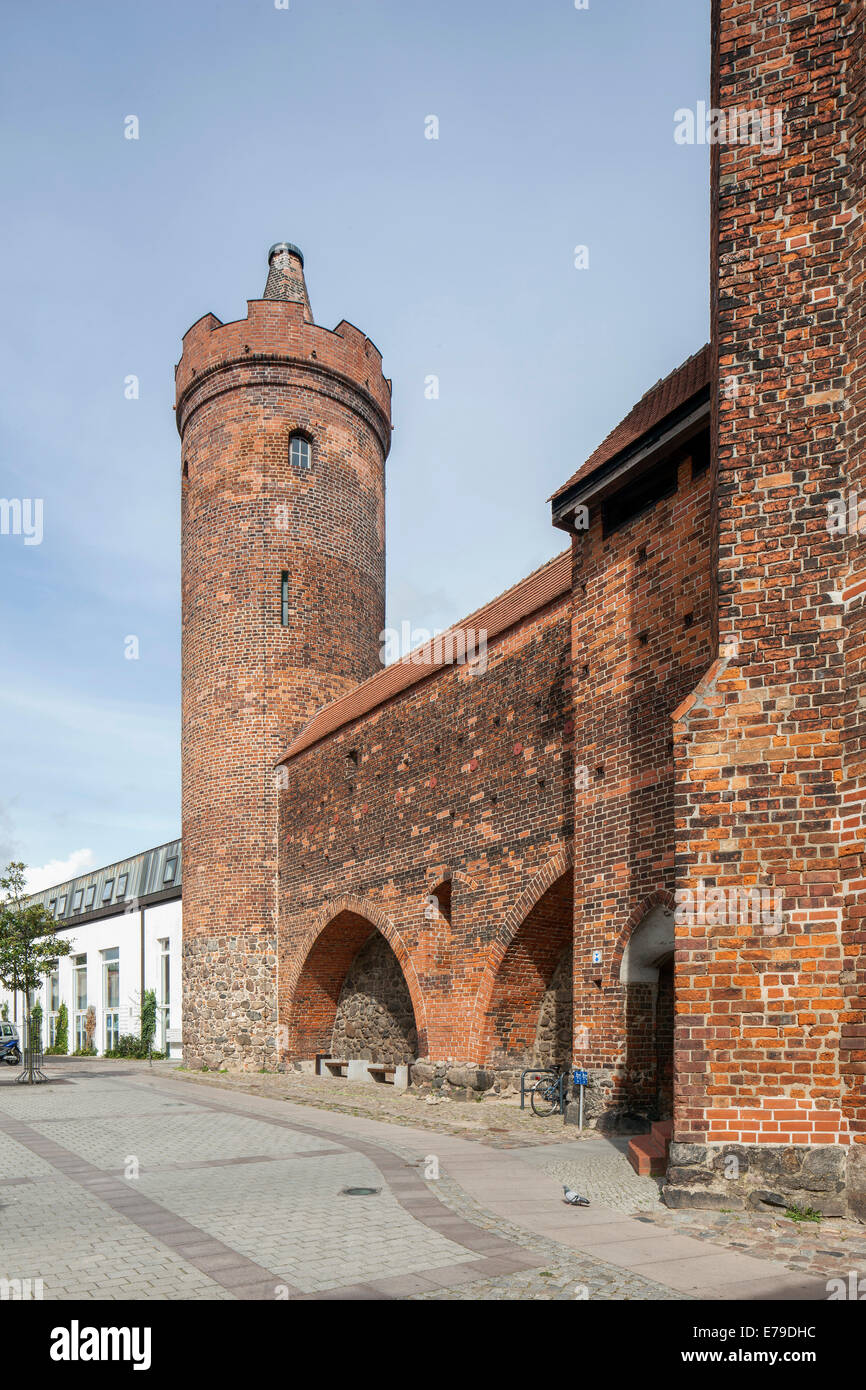 Hungerturm, defence tower of medieval fortification, museum, Bernau, Brandenburg, Germany Stock Photo