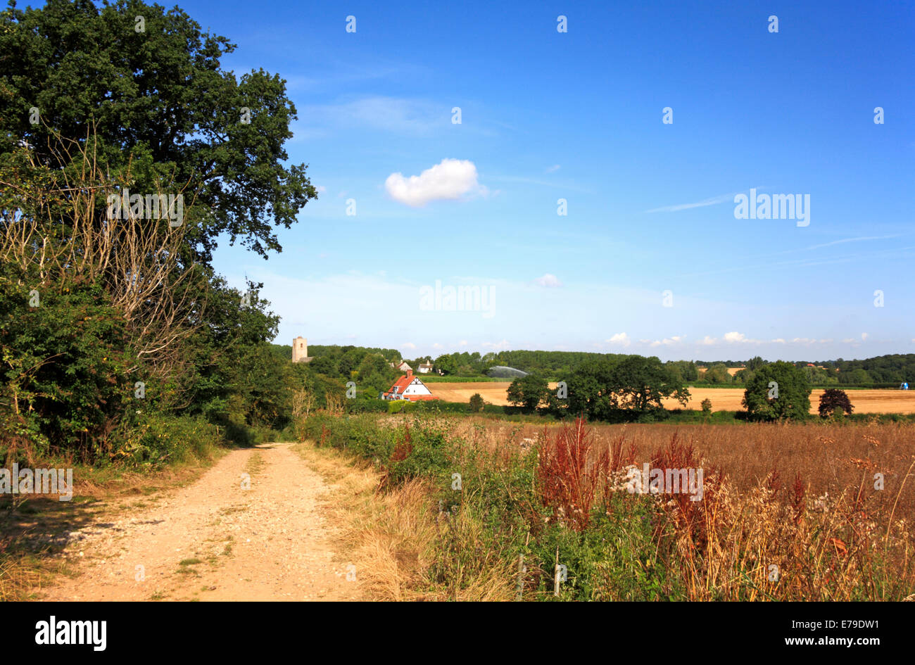 A country track and footpath approaching the village of Claxton, Norfolk, England, United Kingdom. Stock Photo