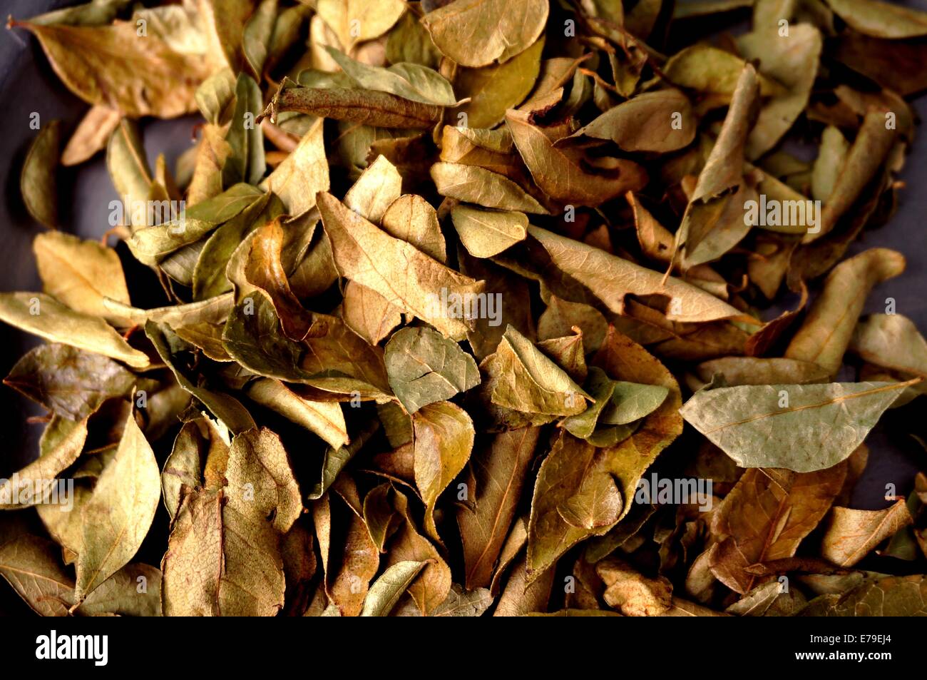 Curry leaves, delicious spice for spicy food Stock Photo - Alamy