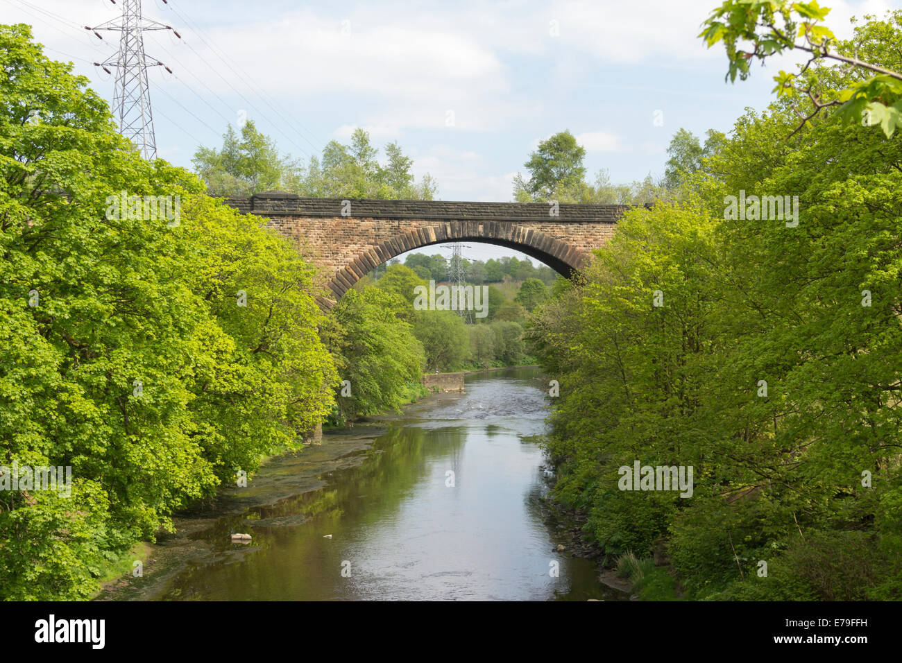One arch of the Clifton viaduct, known locally as the13 arch viaduct, where is crosses the river Irwell in Philips Park, Prestwi Stock Photo