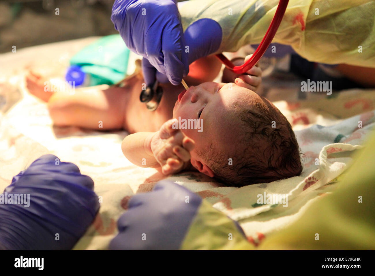 The first minutes of life of the newborn girl Stock Photo - Alamy