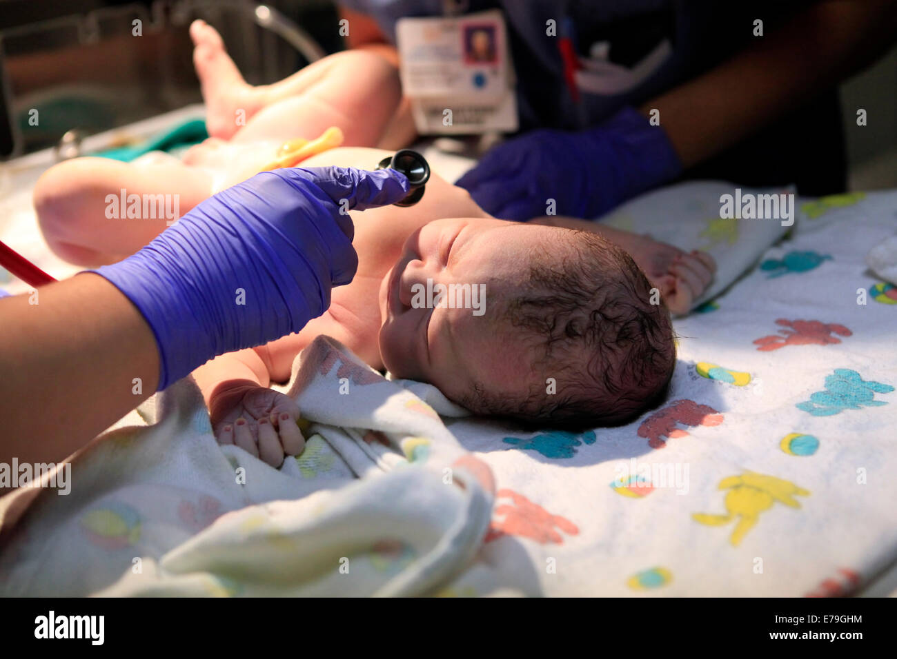 The first minutes of life of the newborn girl Stock Photo - Alamy
