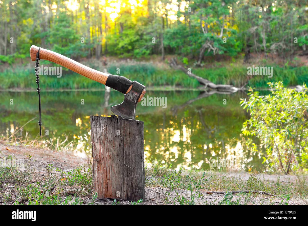 Axe in log on lake and forest background Stock Photo Alamy