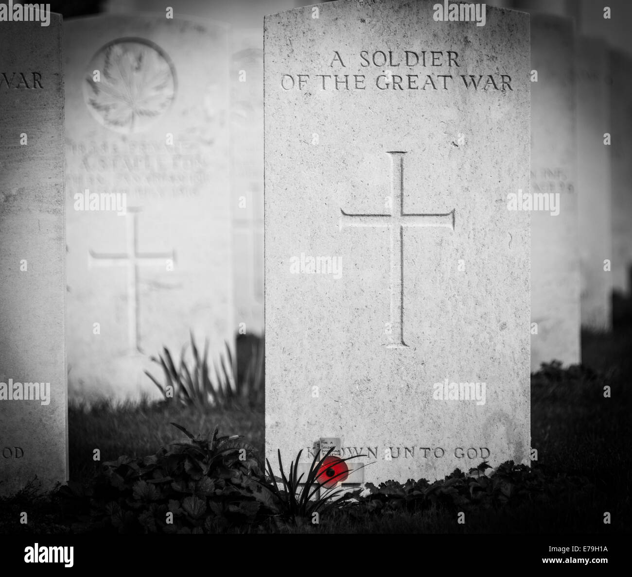 Headstones at the World War One cemetery at Tyne Cot, Belgium Stock Photo