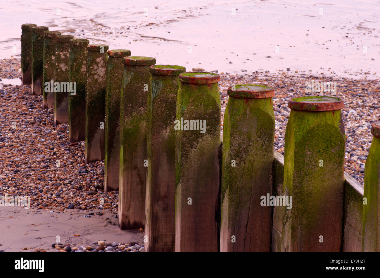 Wooden Beach Groynes Stock Photo Alamy