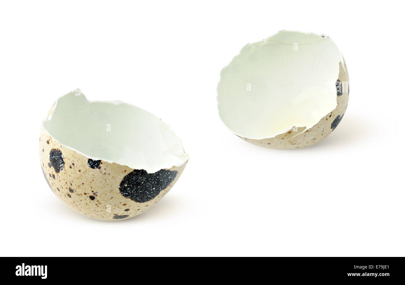 Quail eggshells on white background Stock Photo
