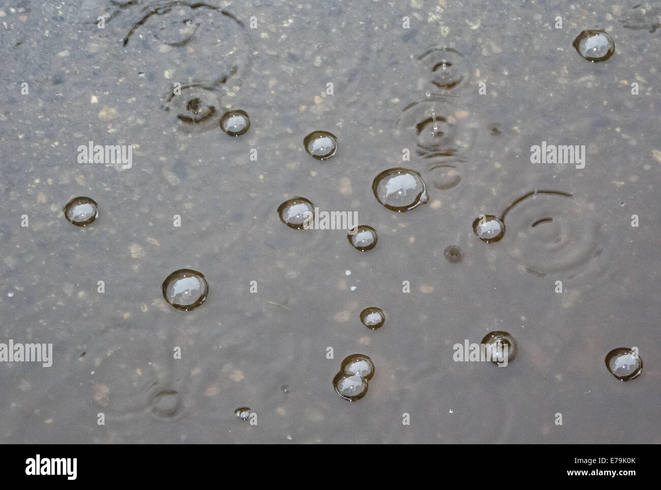 rain with air bubbles on puddle Stock Photo