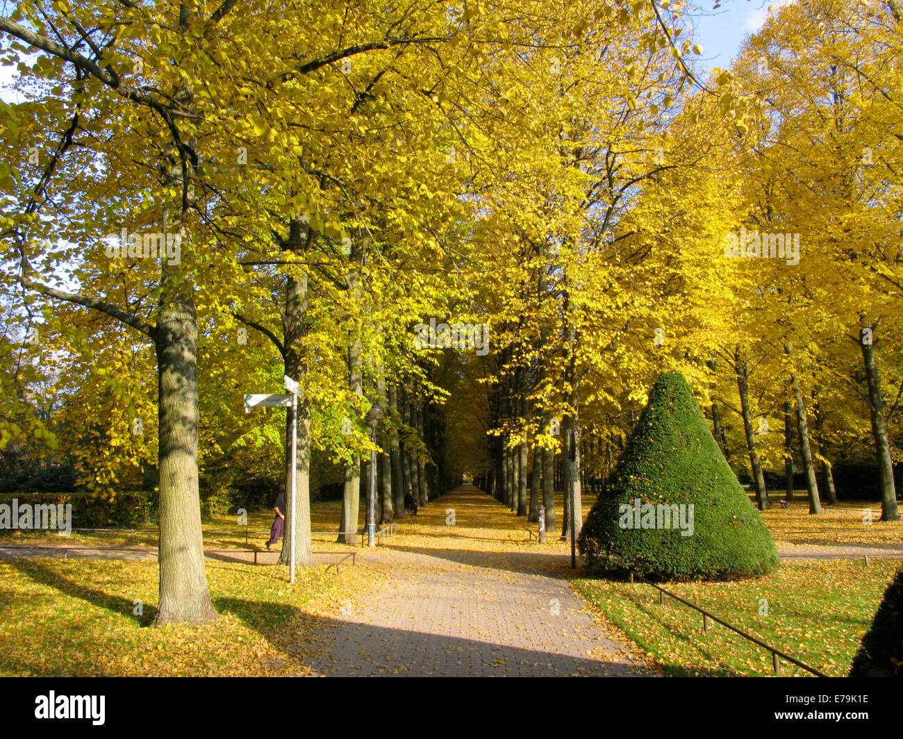 Colorful are the autumn leaves on the various trees in the French Garden of Celle. The park is a utility and pleasure garden in the court yard tradition of the early 17th century. Photo: Klaus Nowottnick Date: October 31, 2011 Stock Photo