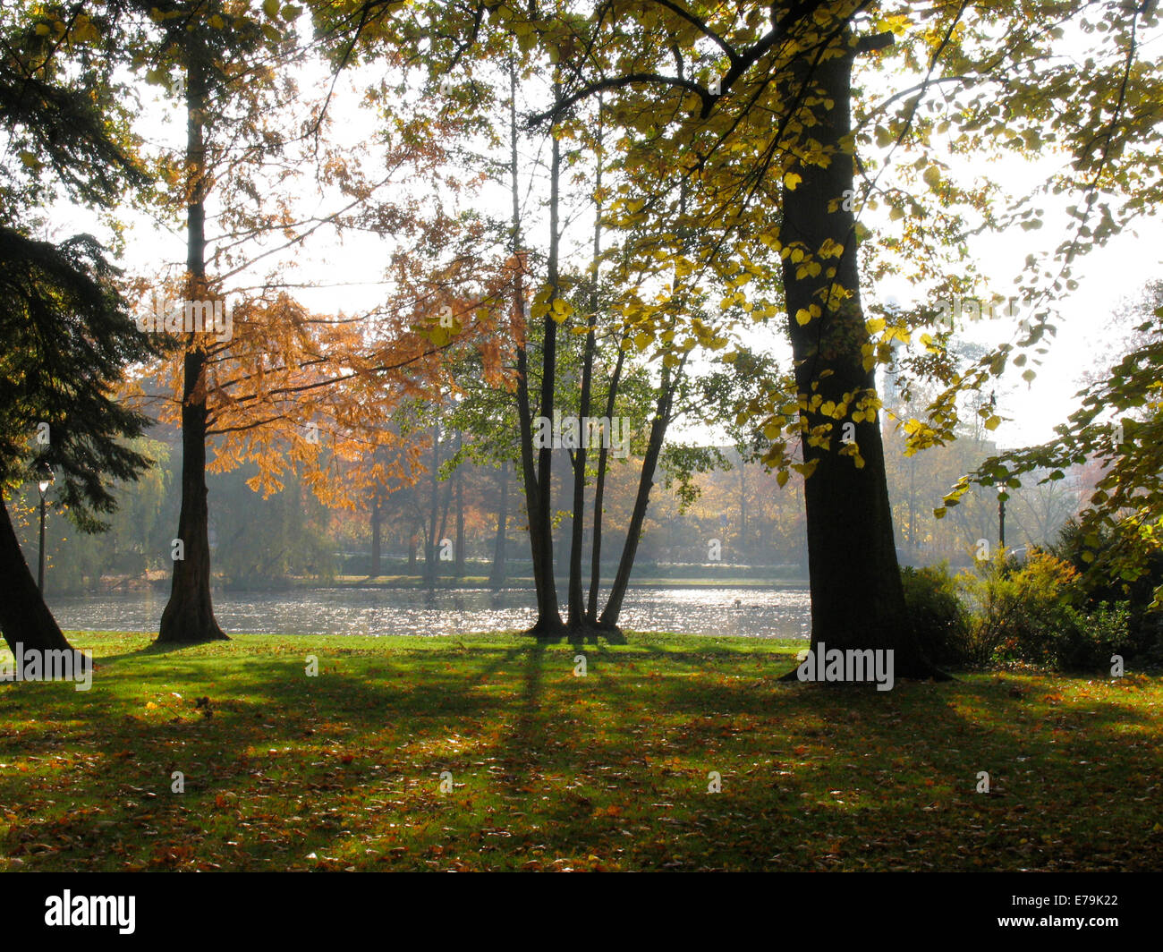 Colorful are the autumn leaves on the various trees in the French Garden of Celle. The park is a utility and pleasure garden in the court yard tradition of the early 17th century. Photo: Klaus Nowottnick Date: October 31, 2011 Stock Photo