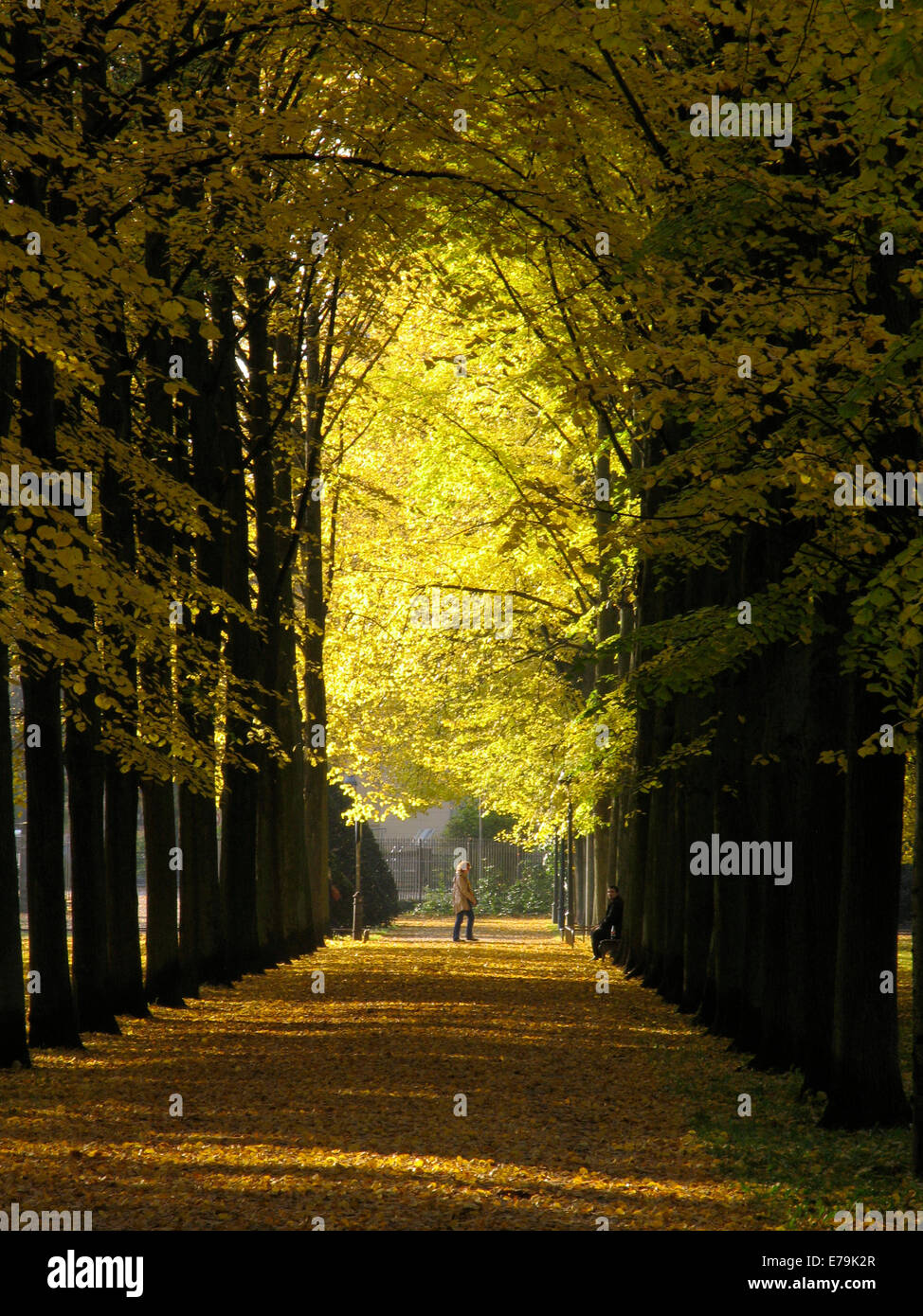 Colorful are the autumn leaves on the various trees in the French Garden of Celle. The park is a utility and pleasure garden in the court yard tradition of the early 17th century. Photo: Klaus Nowottnick Date: October 31, 2011 Stock Photo