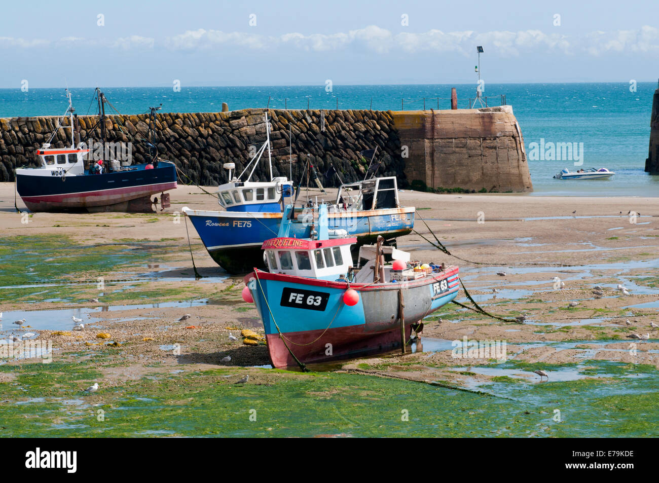 Folkestone sea wall hi-res stock photography and images - Alamy