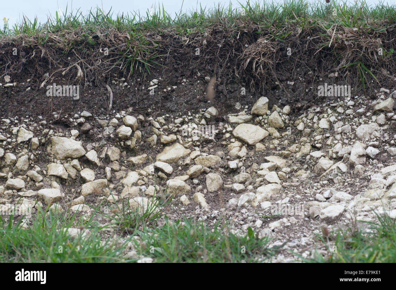 soil profile for kids