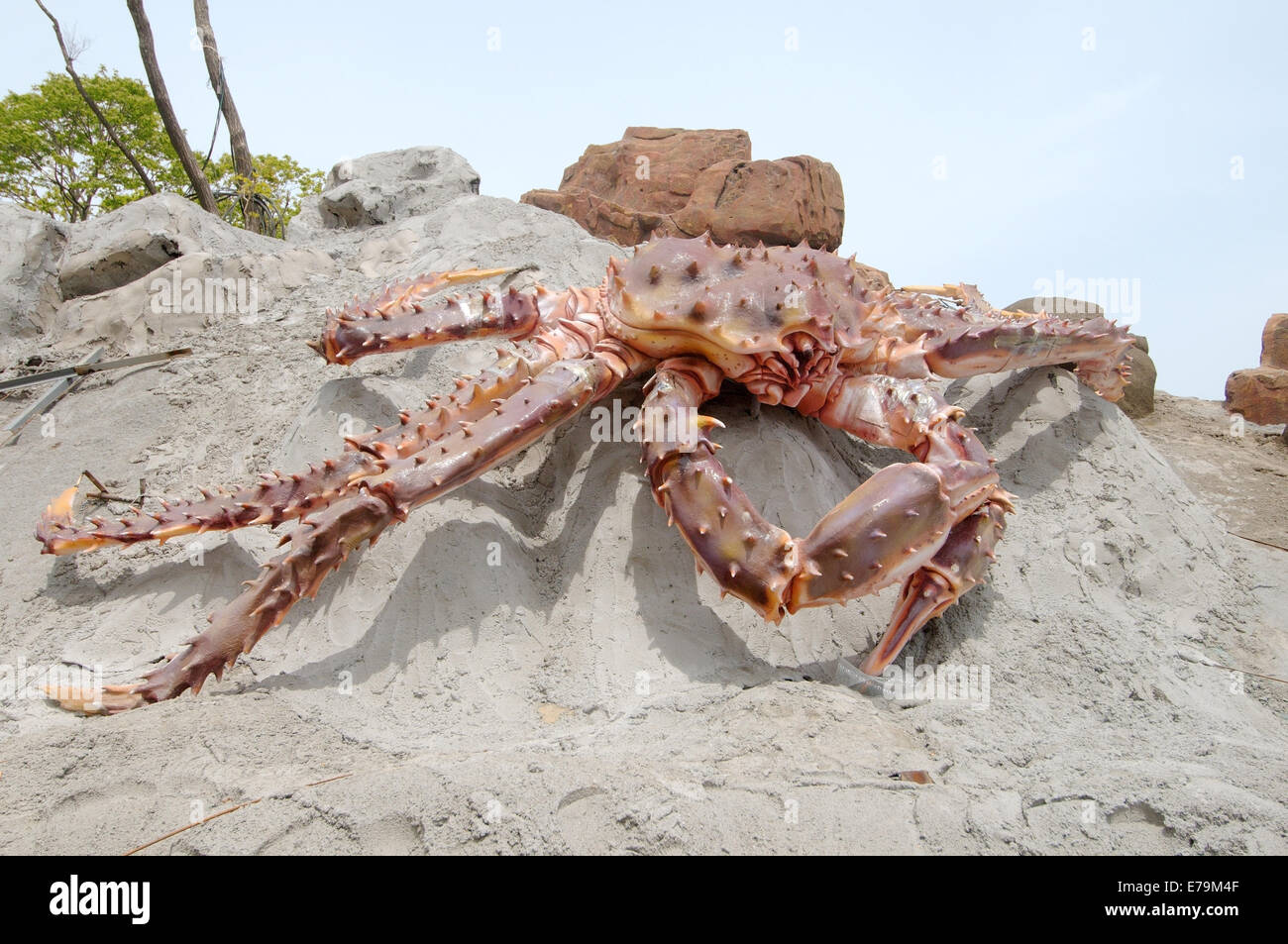 Sculpture of Red king crab (Paralithodes camtschaticus ) in the territory of the Oceanarium, Vladivostok, Russky Island Stock Photo