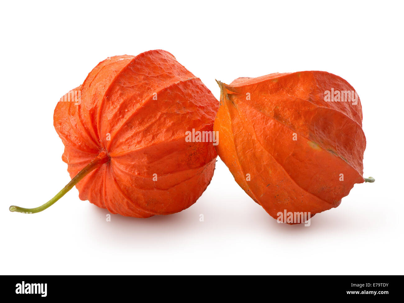 Two flowers of physalis isolated on a white background Stock Photo