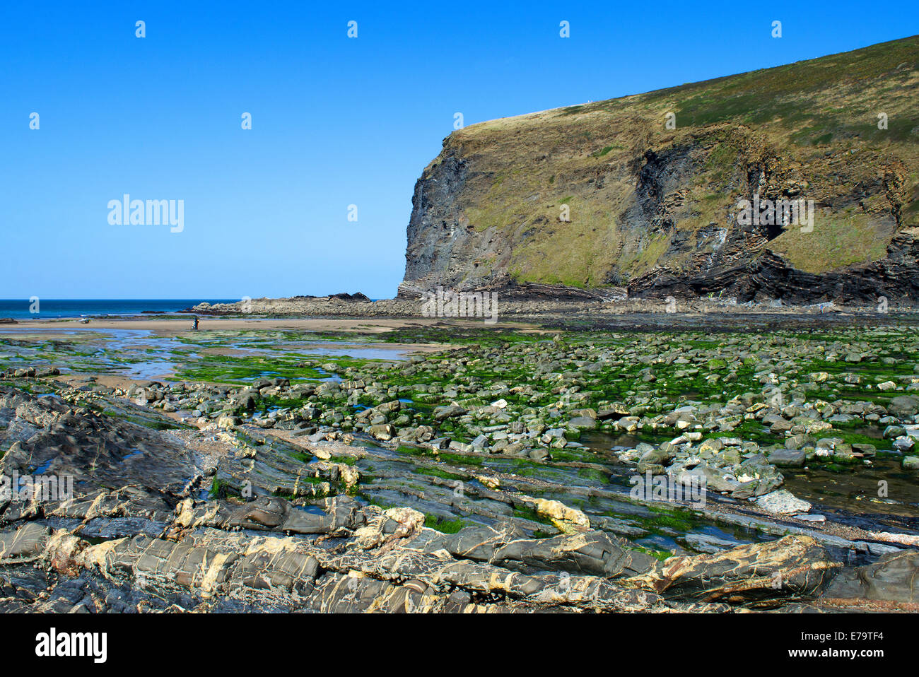 The rocky beach at Crackington Haven in North Cornwall, UK Stock Photo