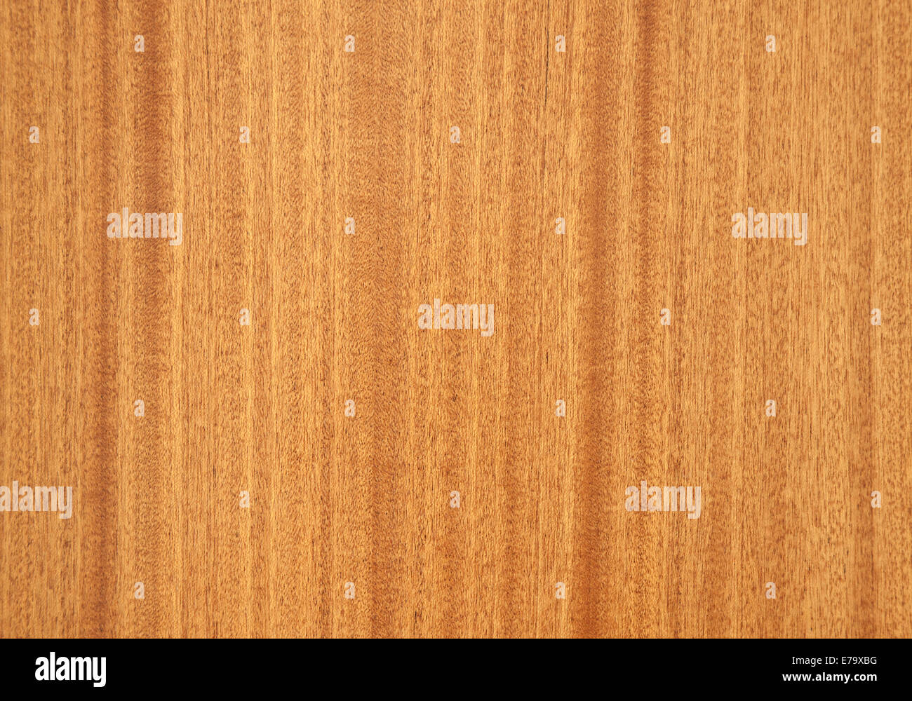 New dark veneer sheet background texture. Macro photo Stock Photo