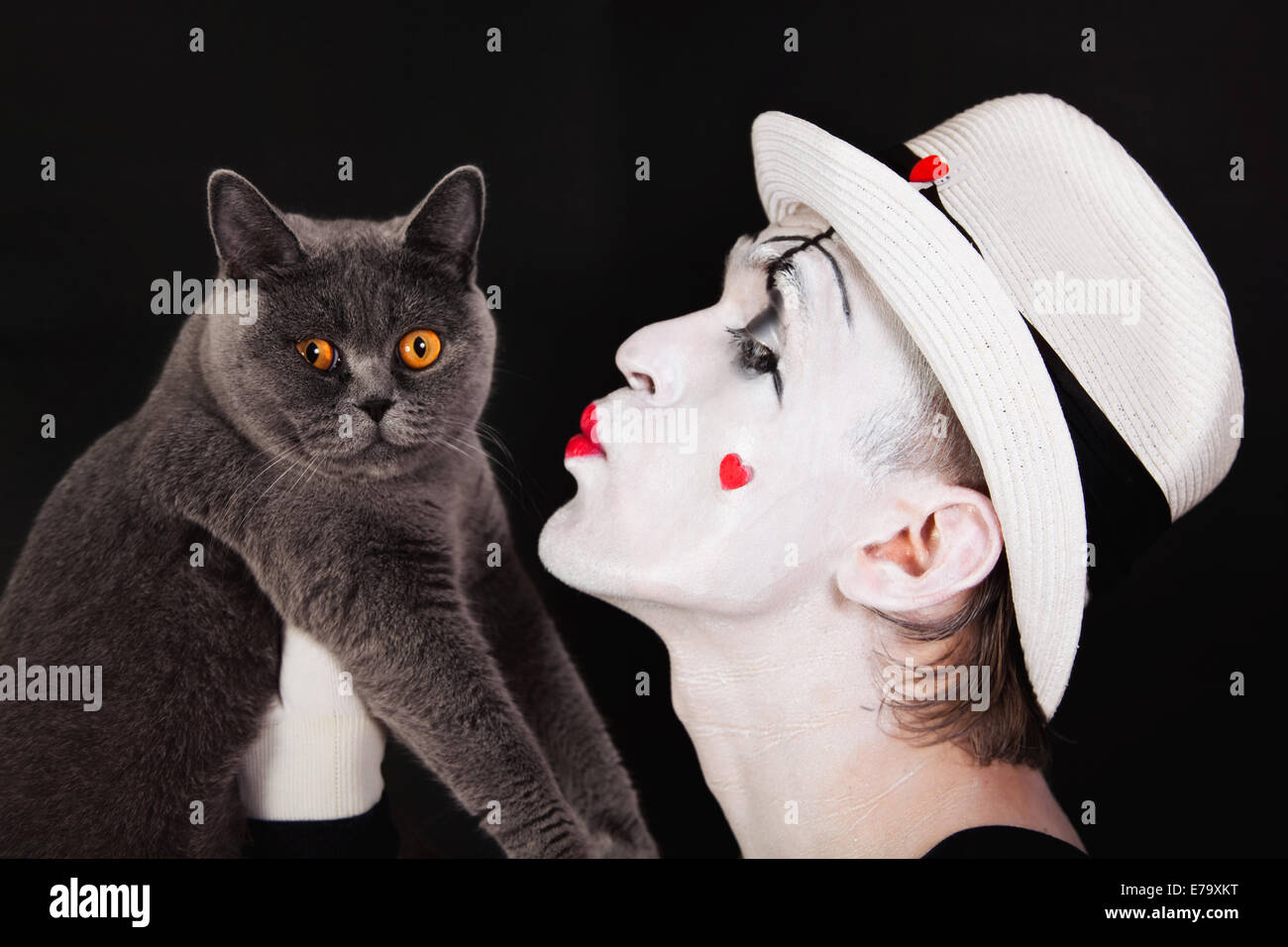 Portrait of the mime with a gray British cat Stock Photo