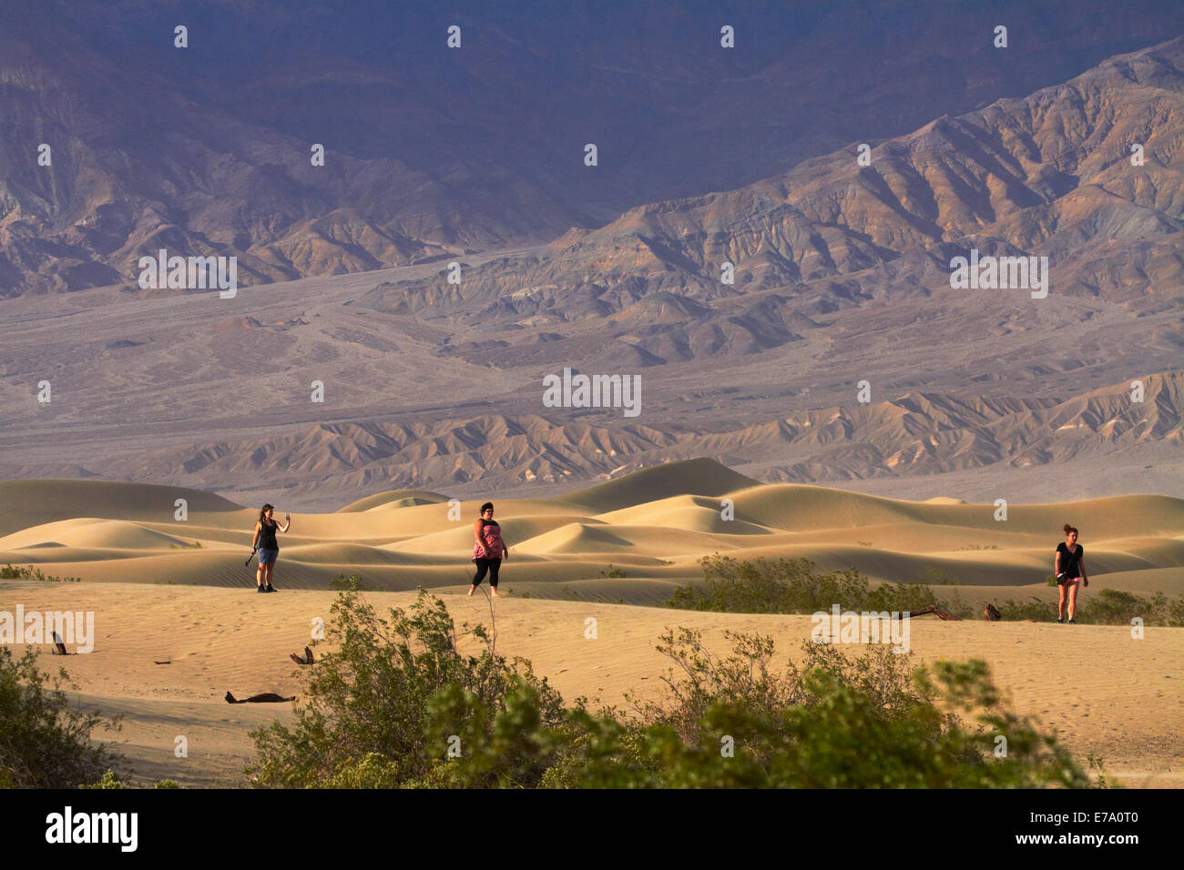 Tourists on Mesquite Flat Sand Dunes, and Grapevine Mountains, near Stovepipe Wells, Death Valley National Park, Mojave Desert Stock Photo