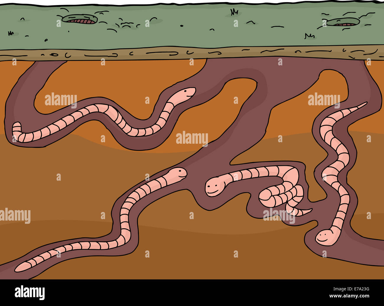 Cartoon worms in underground cross section with white background Stock Photo
