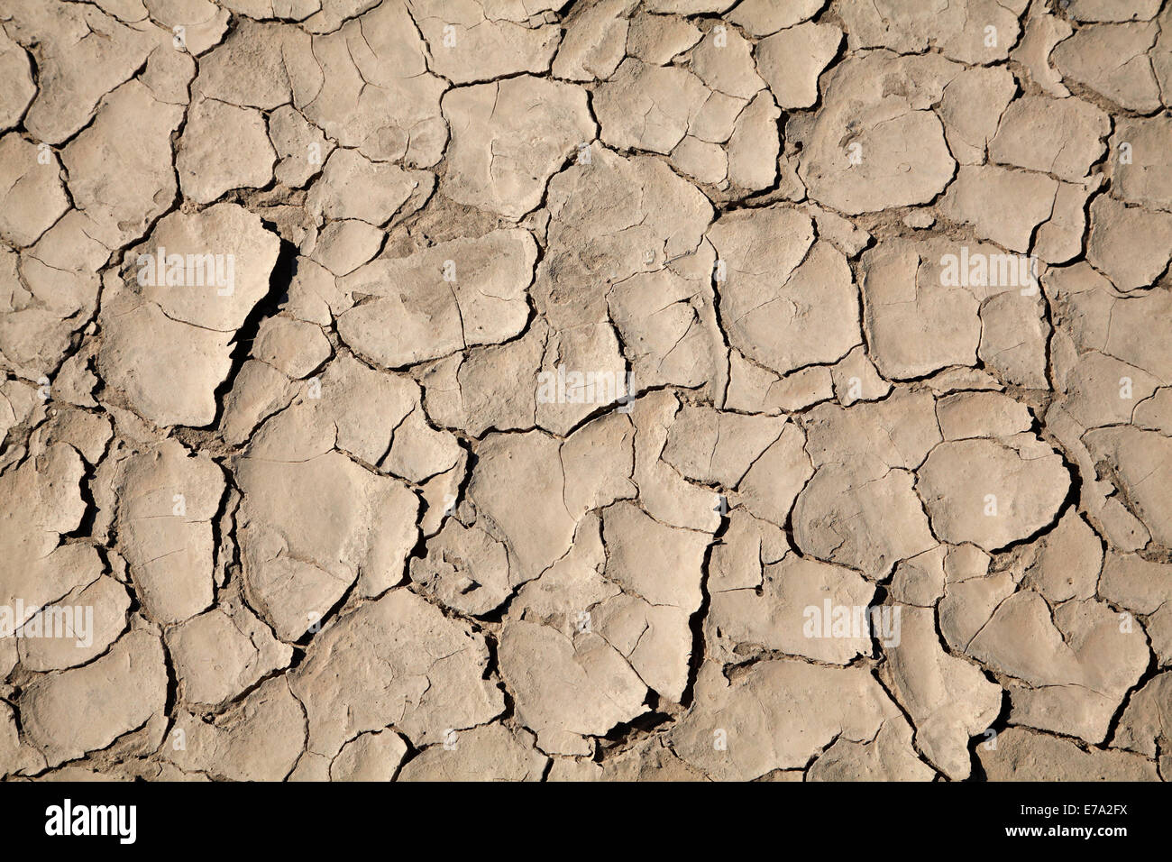Dried mud on salt Pan, Panamint Valley, Death Valley National Park, Mojave Desert, California, USA Stock Photo