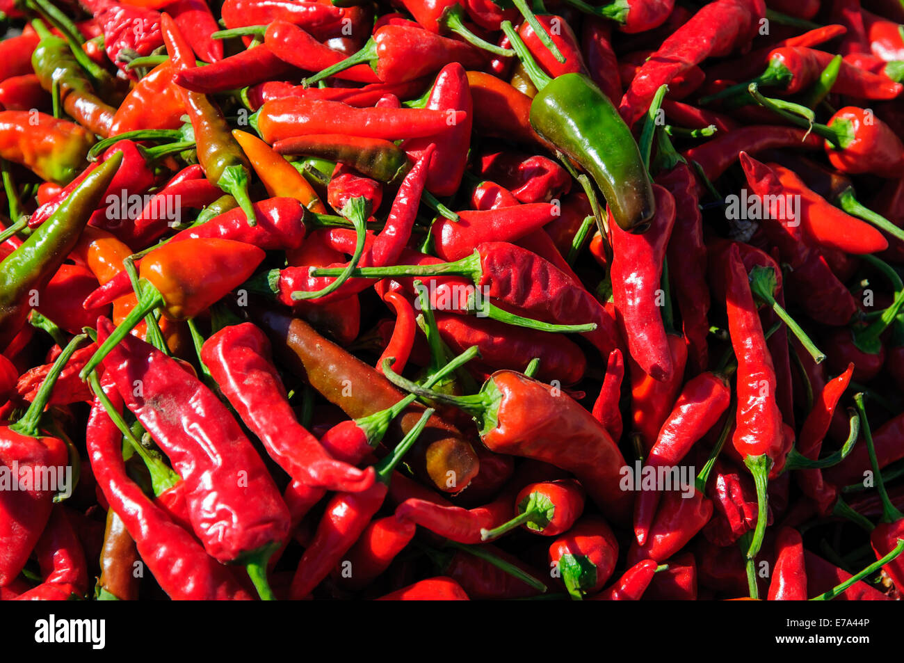 Red hot Chinese peppers Stock Photo Alamy