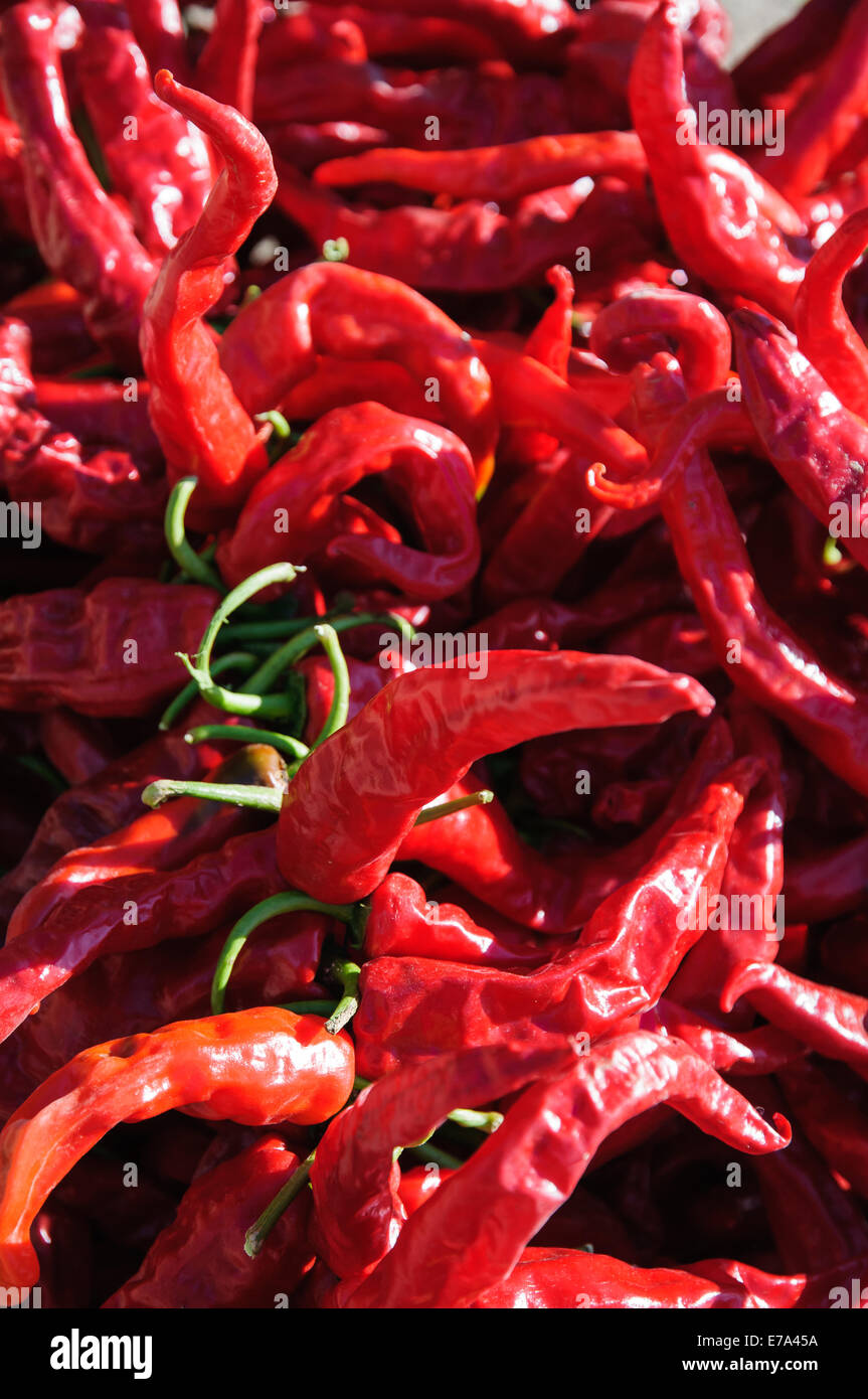 Red hot Chinese peppers Stock Photo Alamy
