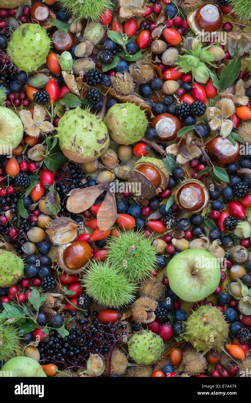 Faux fruit hi-res stock photography and images - Alamy