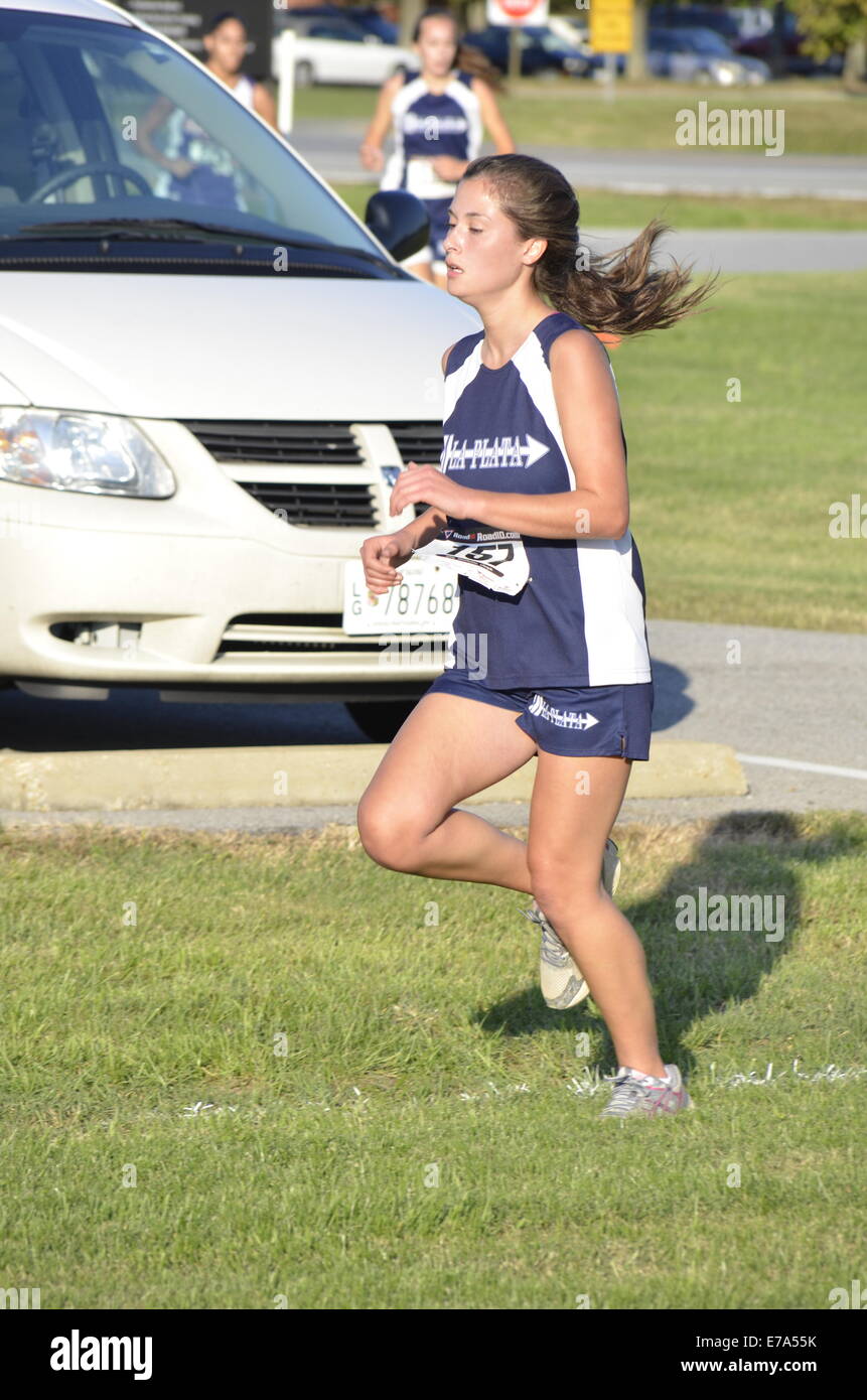 cross country runner Stock Photo Alamy