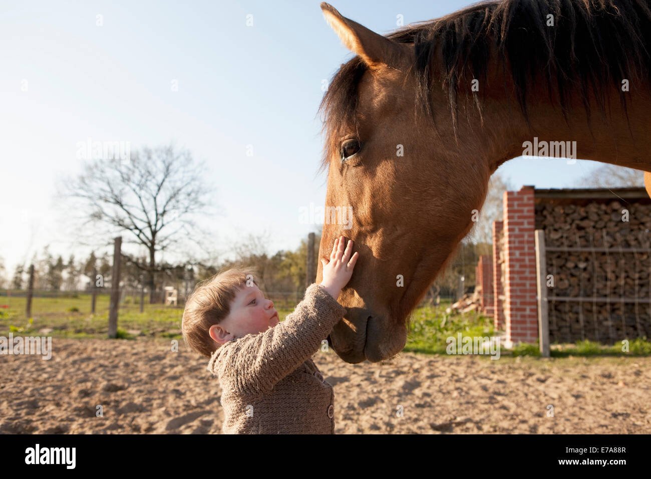 Styroking Stroking child head hi-res stock photography and images - Alamy