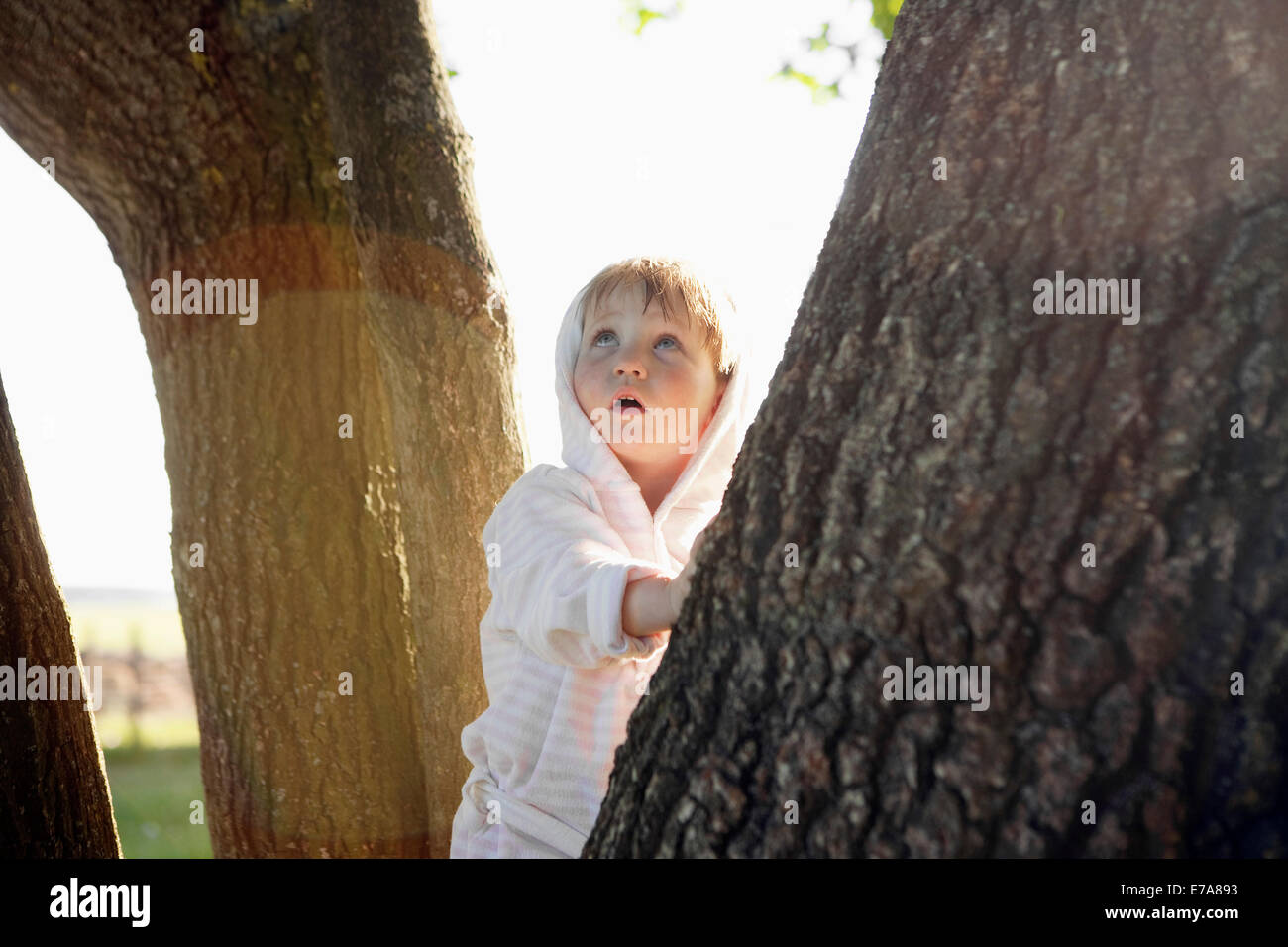 A young girl leaning on a tree trunk and looking up in wonder Stock Photo