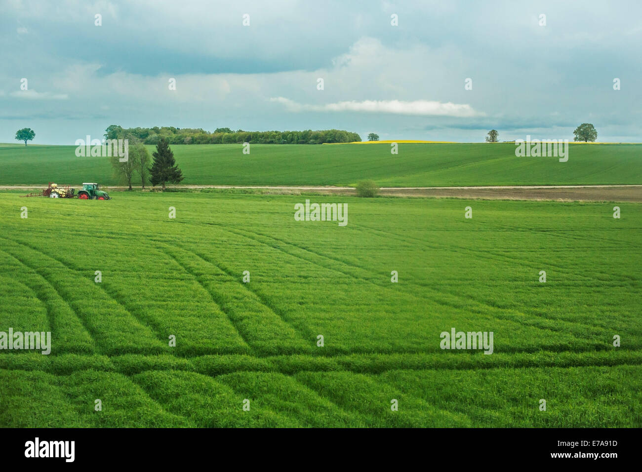 Tranquil scene of agricultural landscape Stock Photo