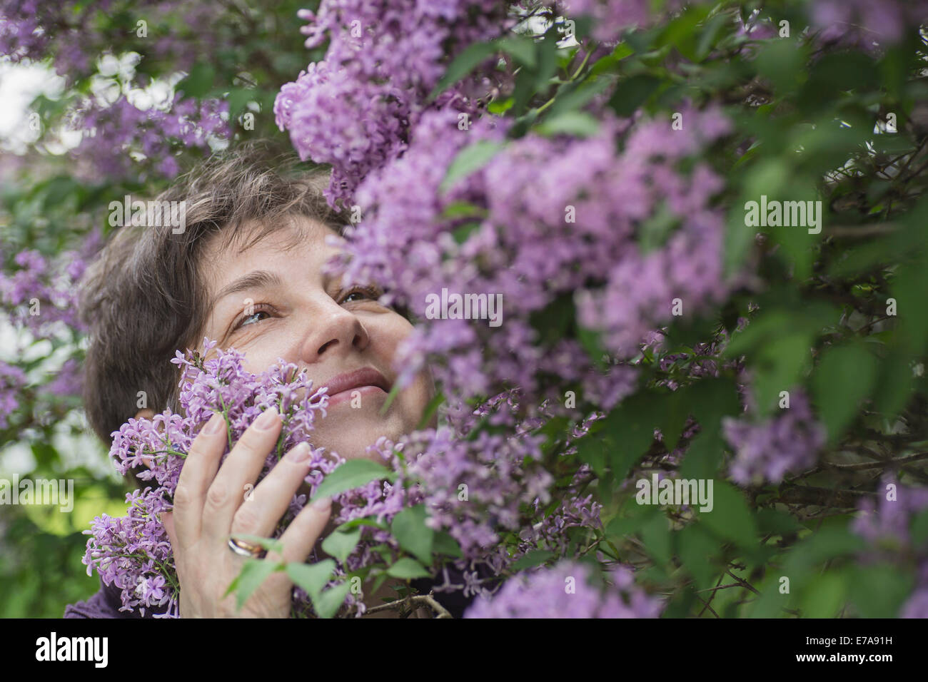 Happy mature woman looking at blooming flowers in park Stock Photo