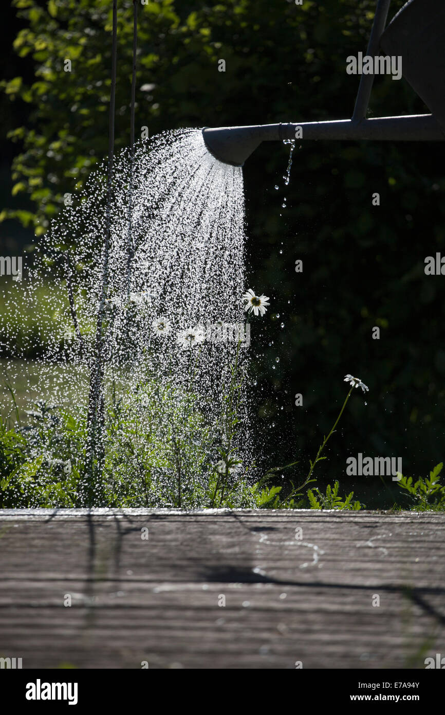 Hose watering grass in garden Stock Photo Alamy