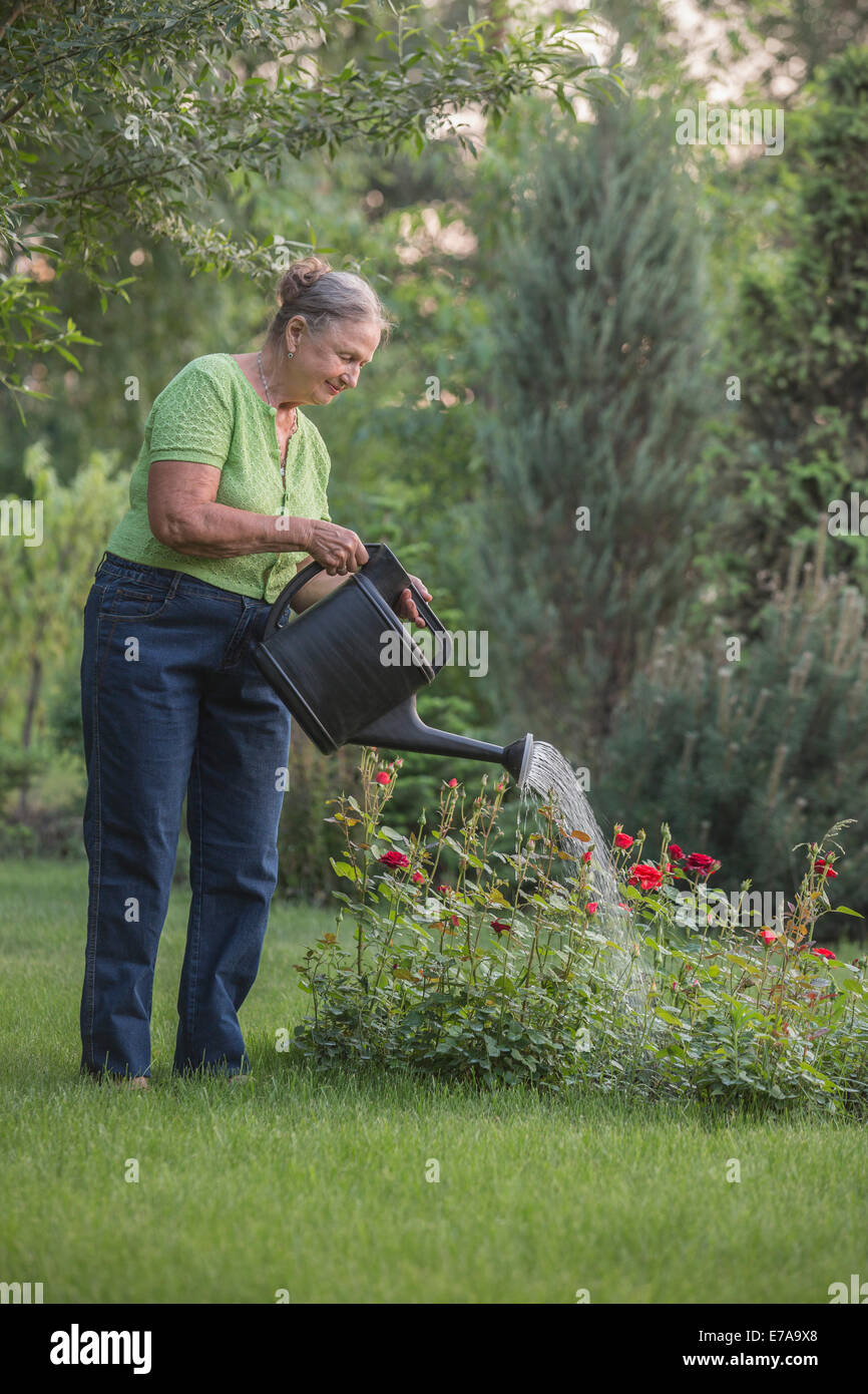 Senior woman watering flowers in garden Stock Photo - Alamy