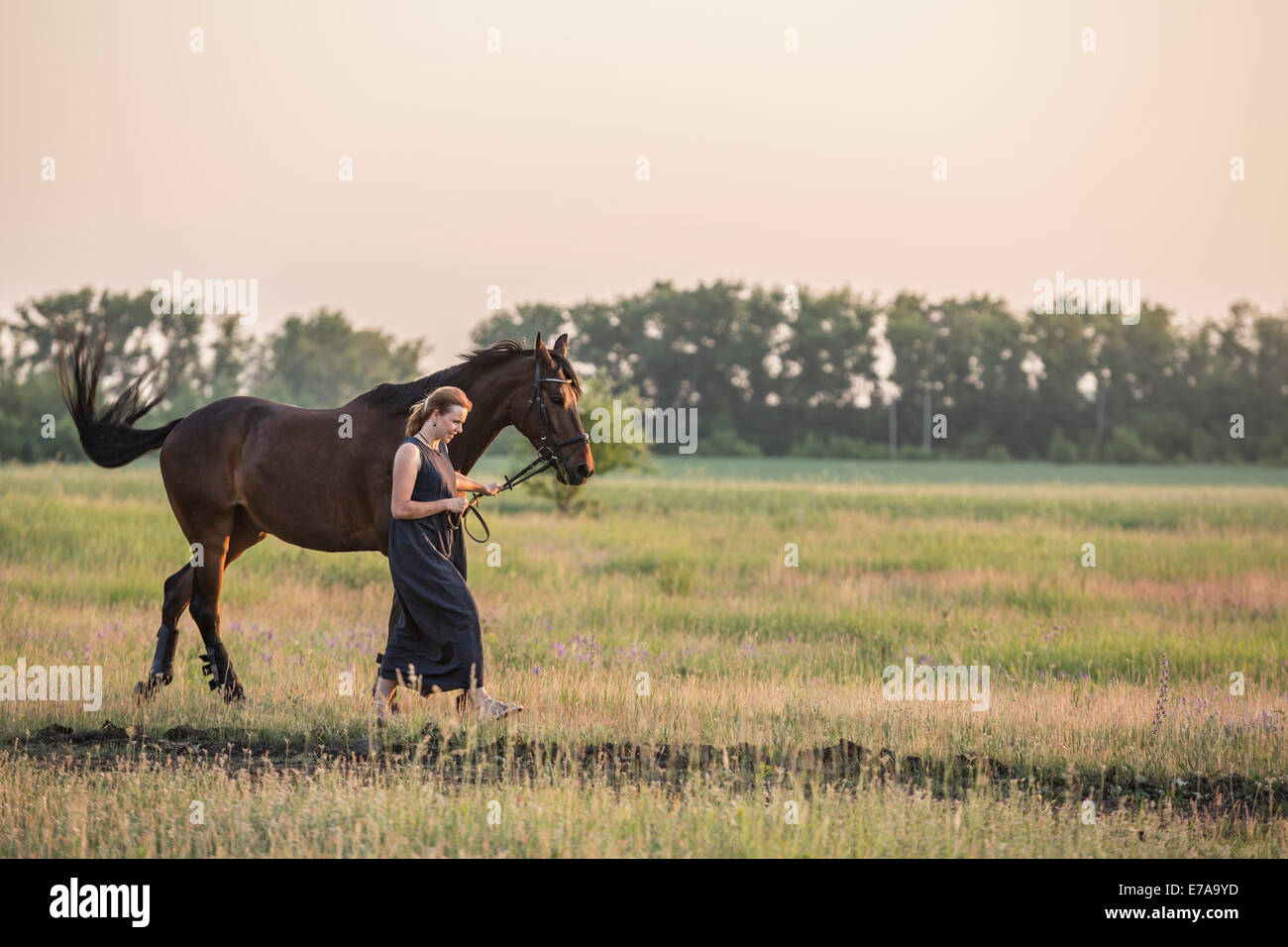 Mid adult woman with horse walking on field Stock Photo
