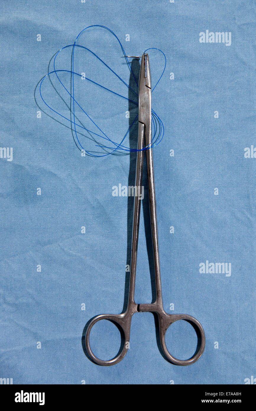 A pair of surgical scissors holding a suture needle and thread, directly above Stock Photo