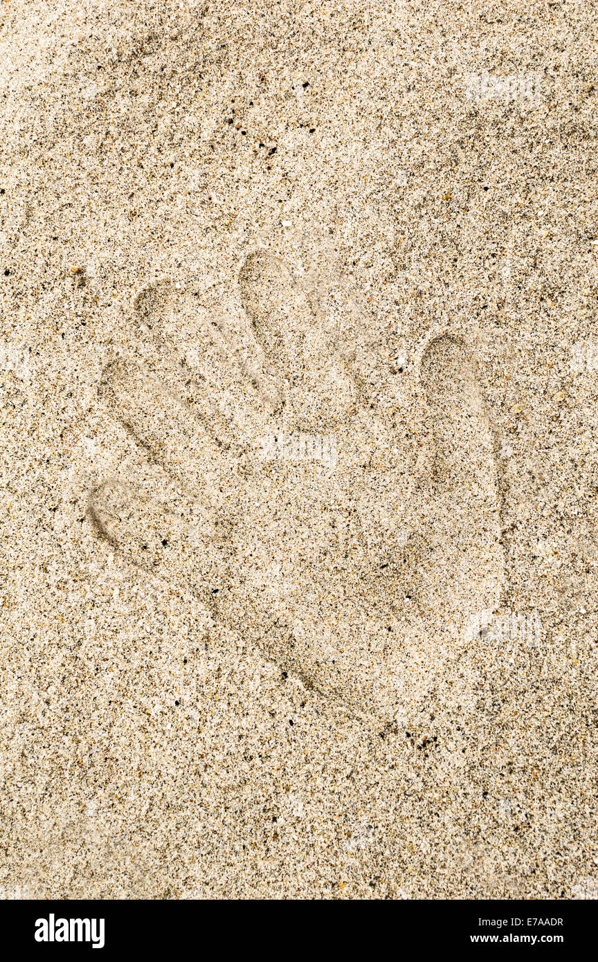 Hand-print in the sand of a beach Stock Photo
