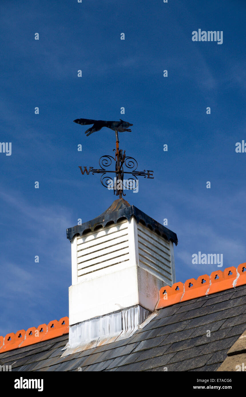 Fox weather vane roof wind direction countryside wales hires stock