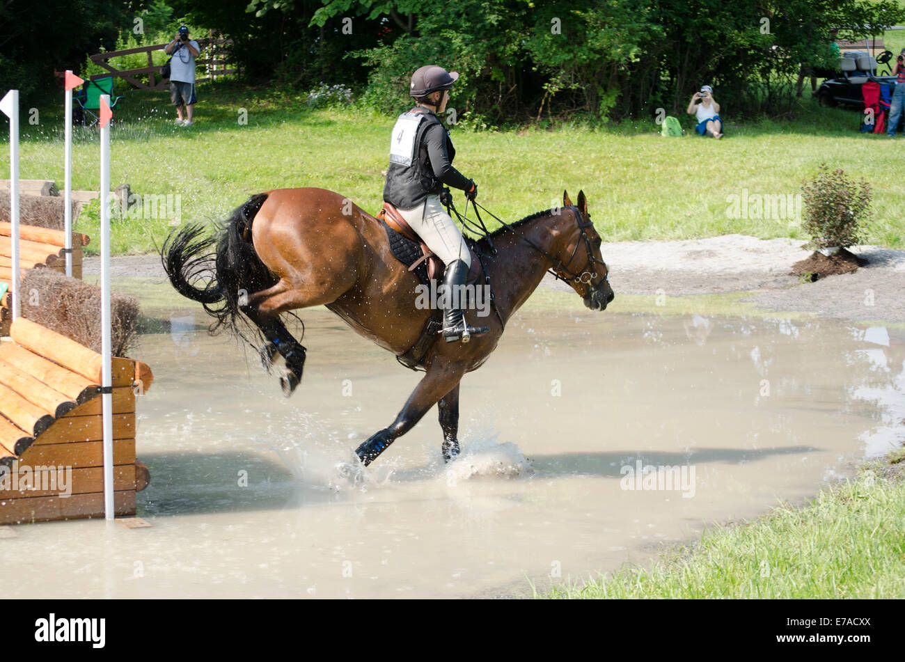 Horse and rider compete in Stuart Horse trials Stock Photo Alamy
