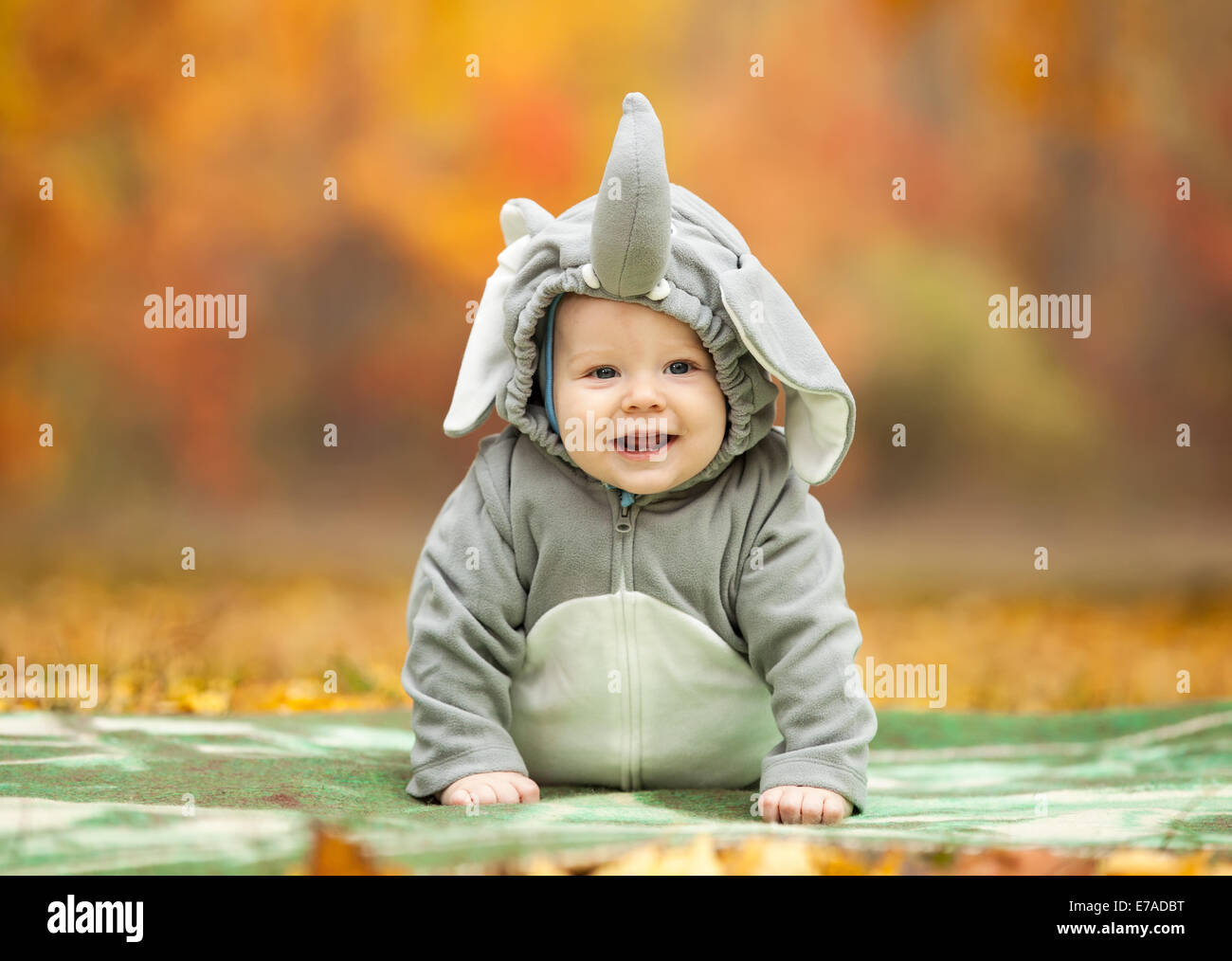 New Baby Boy Dress In Elephant Design