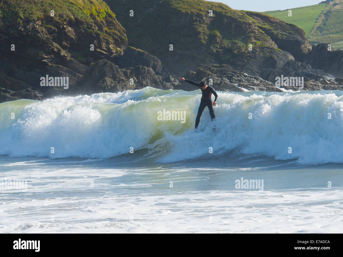 2014 Challaborough Bay, South Devon: Surfer riding wave with rocky coastline in background Stock Photo