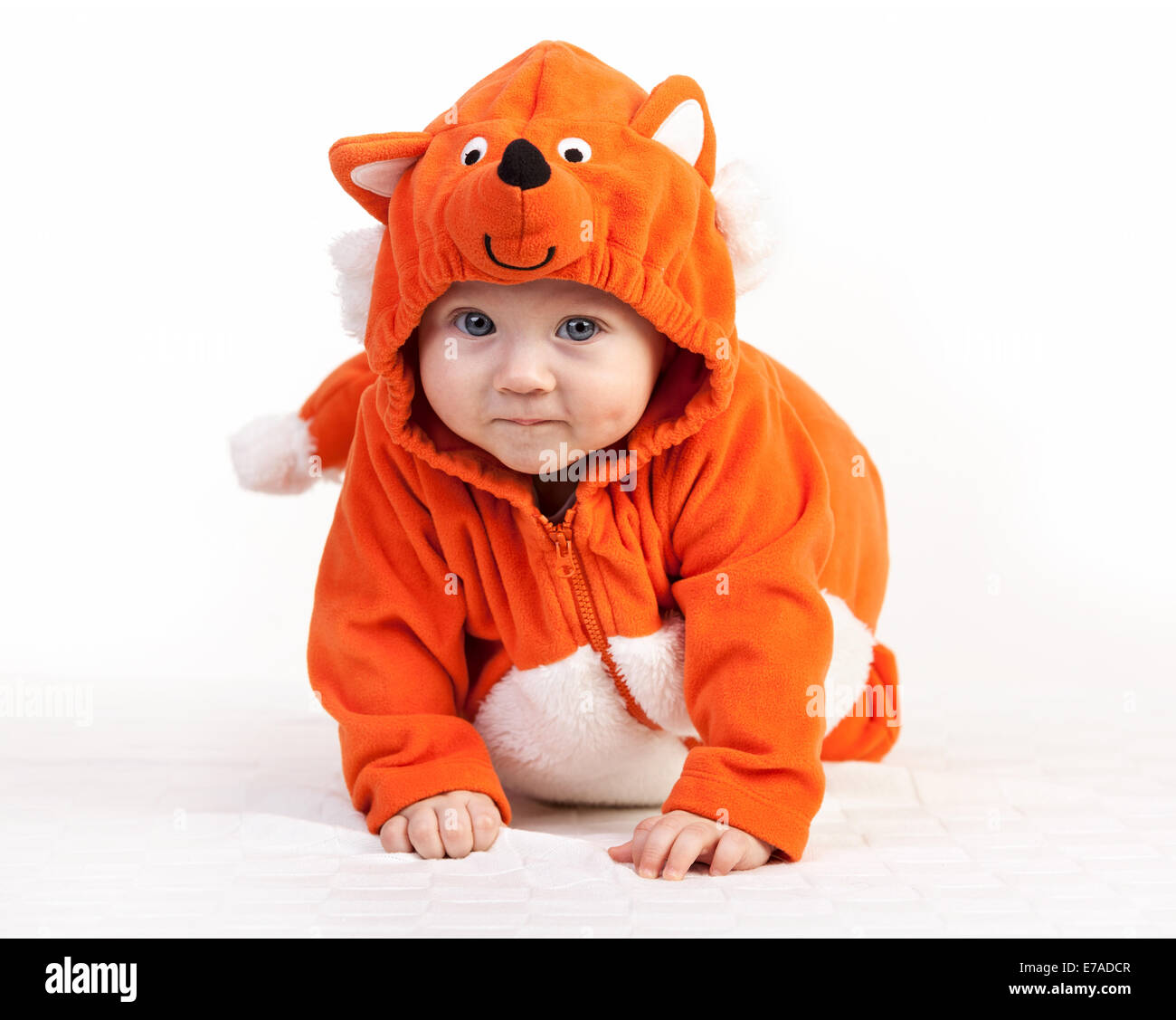 Baby boy in fox costume looking at camera over white Stock Photo