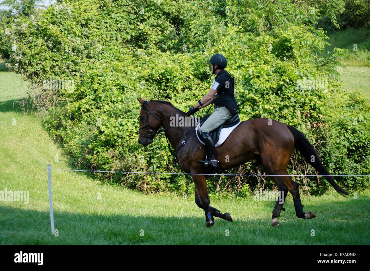Horse and rider compete in Stuart Horse trials Stock Photo - Alamy