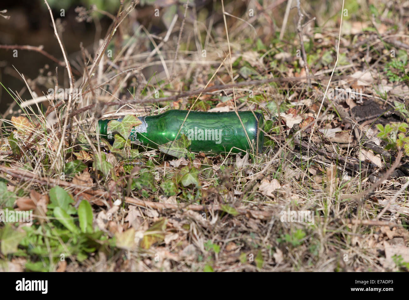 Glass Fiber Beer Can And Glass Melted After Fire Stock Photo - Download  Image Now - Accidents and Disasters, Apocalypse, Arid Climate - iStock