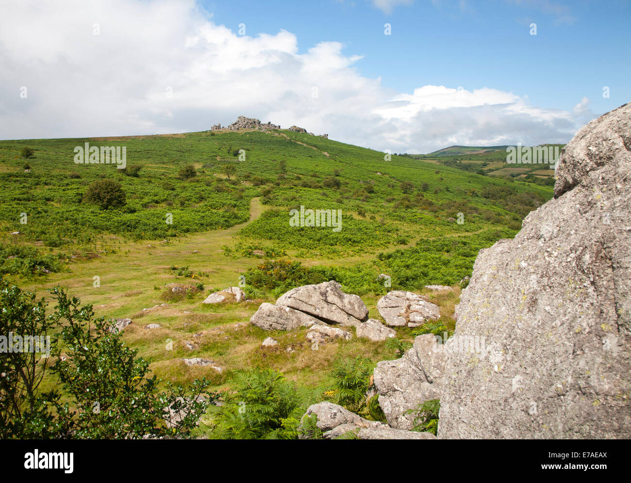 Granite upland landscape Hound Tor, Dartmoor national park, Devon, England Stock Photo
