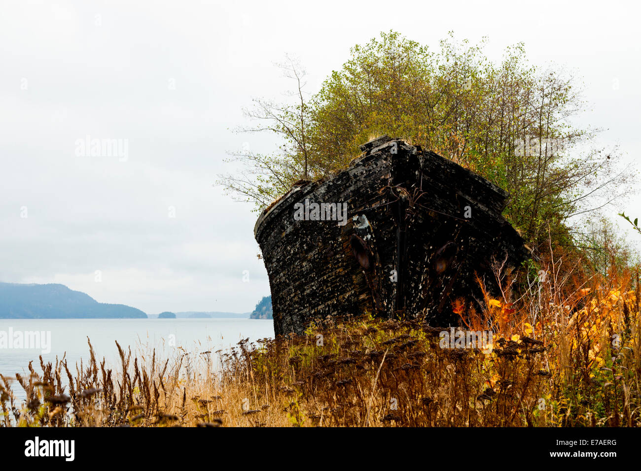Schooner wreck hires stock photography and images Alamy