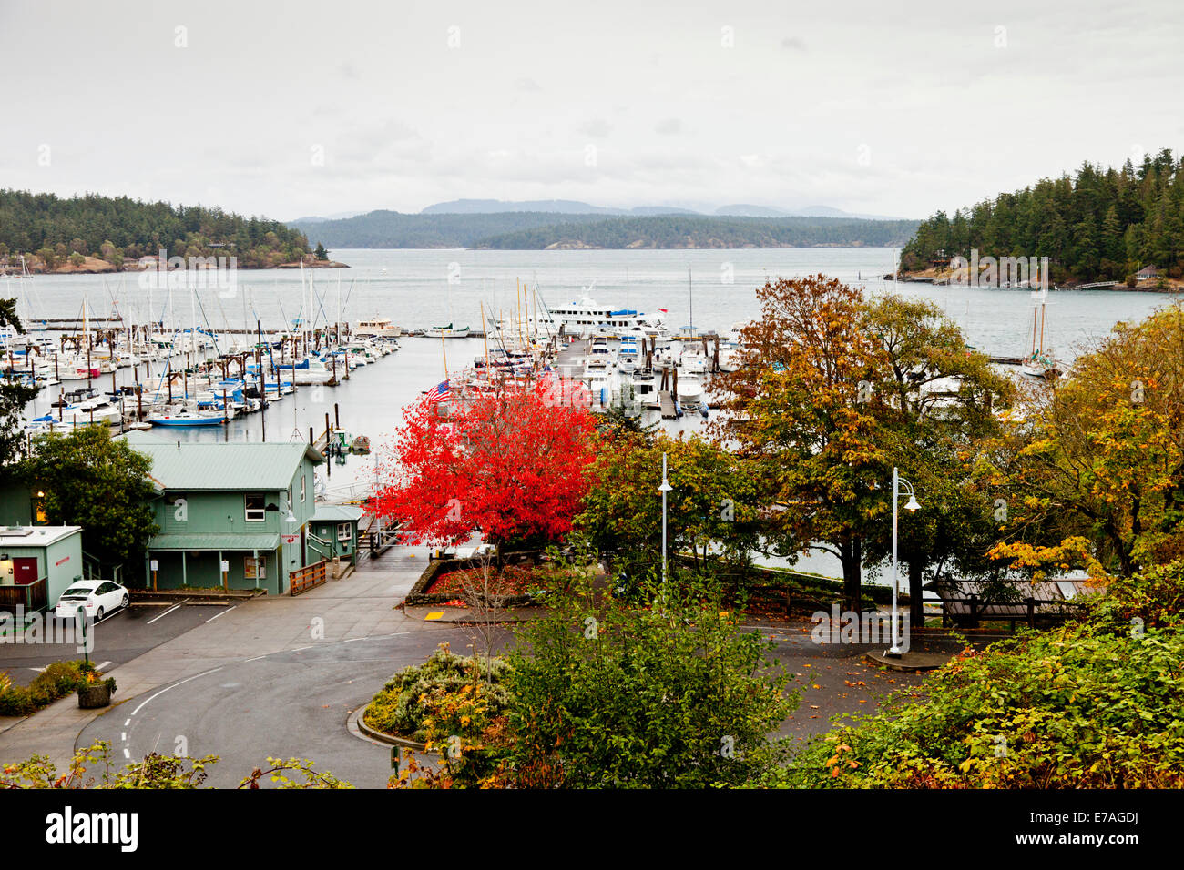 Friday Harbor San Juan Island High Resolution Stock Photography and ...